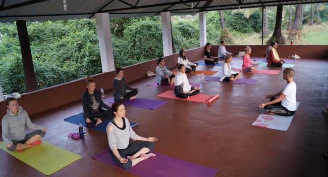 Yoga event 200 Hours YTT in Goa | Siddhi Yoga [node:field_workplace:entity:field_workplace_city:0:entity]