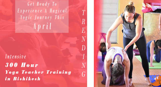 Йога мероприятие 300 Hour Yoga Teacher Training in Rishikesh RYS300 (April) Ришикеш