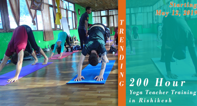 Yoga event 200 Hour Yoga Teacher Training - May 2019 Rishikesh