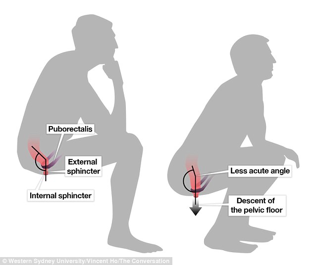 Indian toilet - yogic elimination