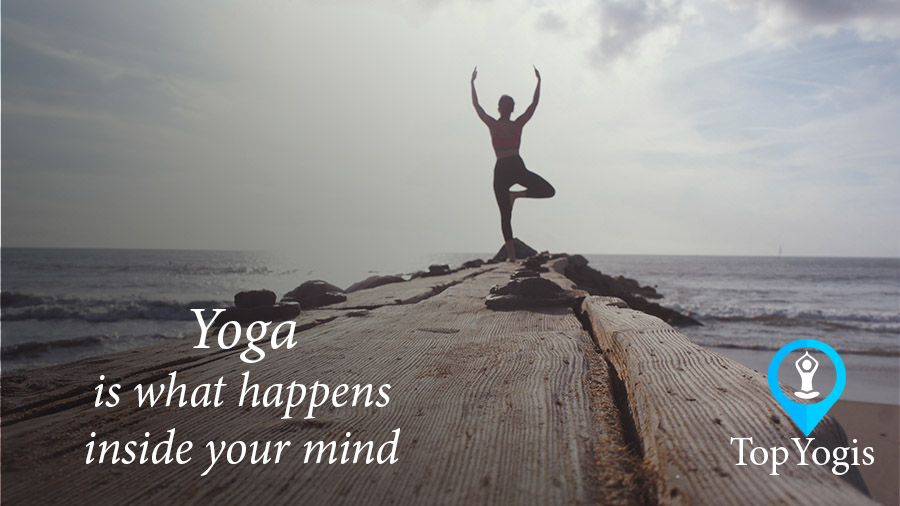 Yoga is what is going on in our minds. Article on standards of yoga