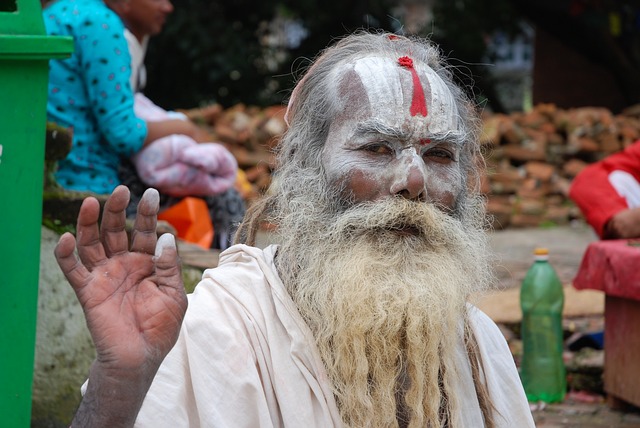 Indian yogi teacher