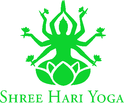 Yoga instructor Hari Dharamsala