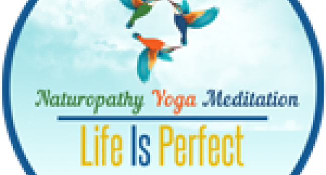 Йога студия Yoga and Meditation Teacher Training Course  Life Is Perfect [user:field_school_workplace:entity:field_workplace_city:0:entity]
