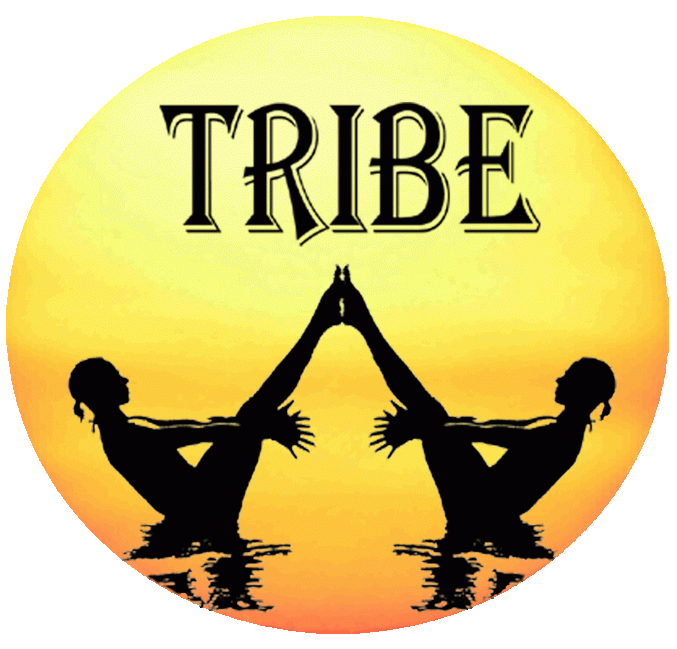 Yoga studio Tribe Goa