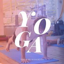 Yoga studio Rishikesh Yog Mandir Rishikesh