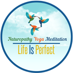 Йога студия Yoga and Meditation Teacher Training Course  Life Is Perfect [user:field_school_workplace:entity:field_workplace_city:0:entity]