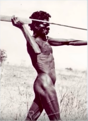 Абориген здоровье коренных населений польза силовых тренировок