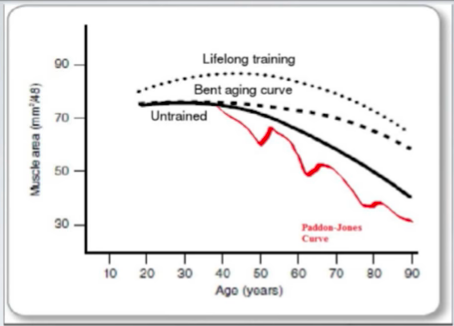 Aging curve physiological headroom and effects on strength training