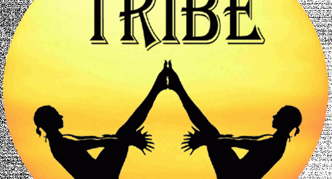 Yoga studio Tribe Goa